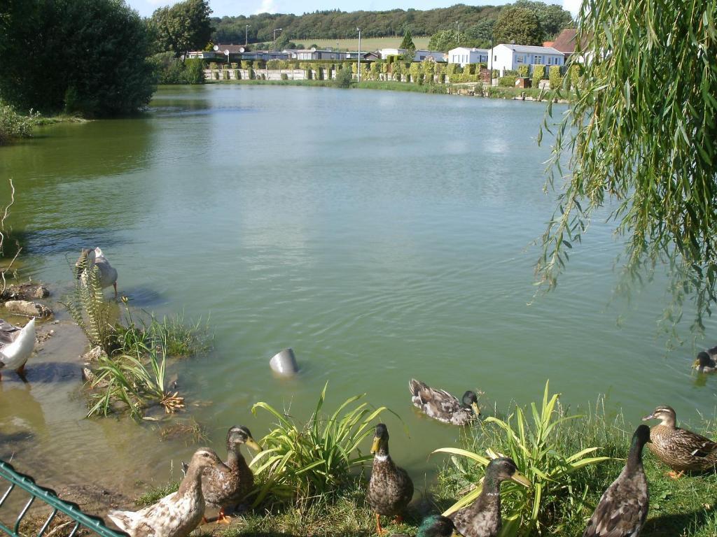 Auberge Des Etangs Roussent Exterior foto